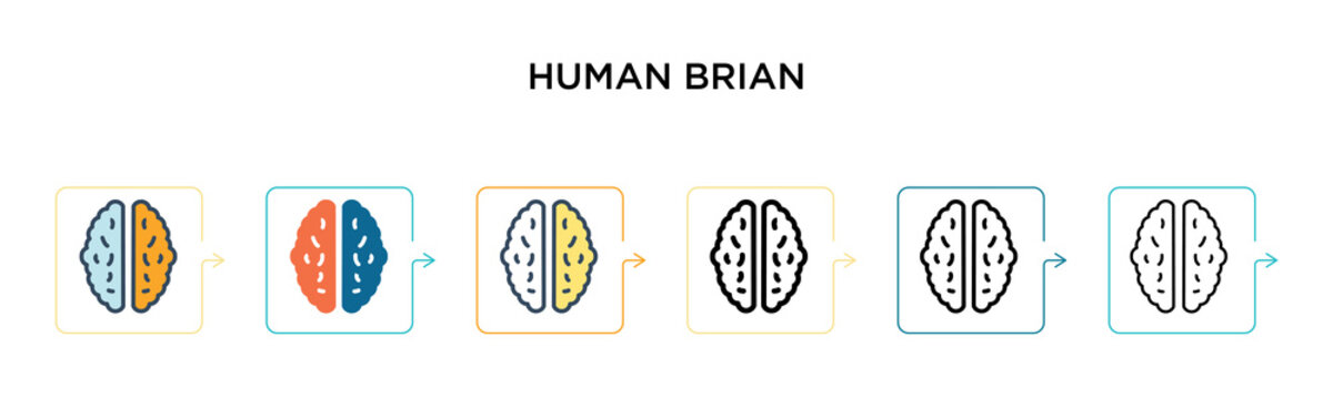 Human brian vector icon in 6 different modern styles. Black, two colored human brian icons designed in filled, outline, line and stroke style. Vector illustration can be used for web, mobile, ui