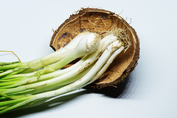 Fresh Green Spring Onion With Roots On An Isolated White Background