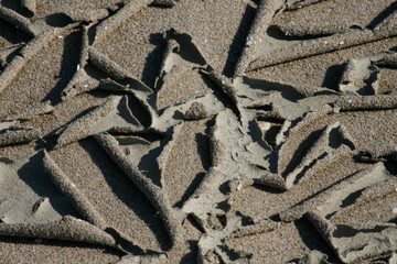 drought cracked a clay surface