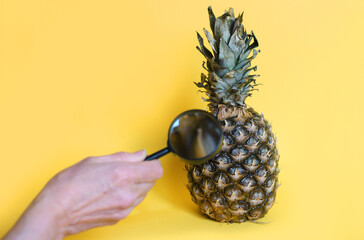 A pineapple and a hand holding a magnifying glass on yellow background