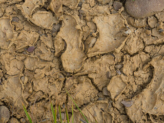 drought cracked a clay surface
