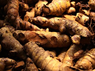 Steamed turmeric kept for drying