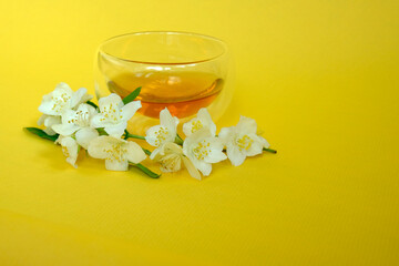 Obraz na płótnie Canvas glass Cup of green tea and fresh Jasmine flowers