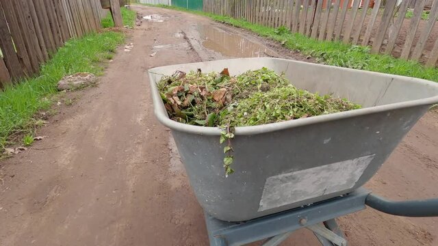 Work in the field concept. Wheelbarrow with grass. Person pushes a wheelbarrow in which old grass, weeds. Compost.