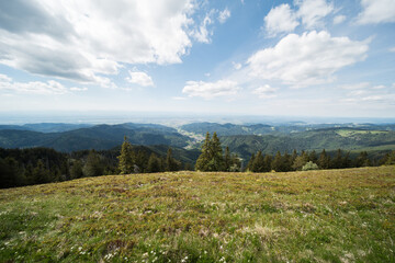 landscape in the black forest in germany at belchen which is 1414m high.