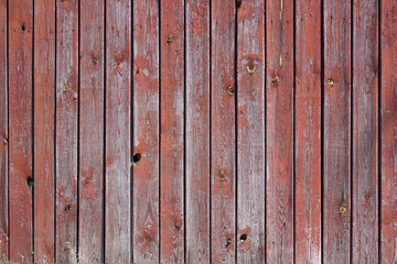 Surface of the old fence