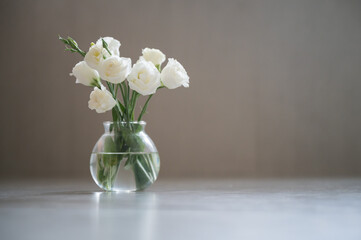 Campanulaceae flowers in glass vase