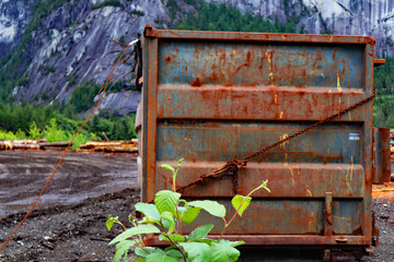 Abstract nature photos in British Columbia