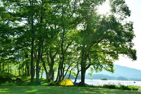 森と湖畔のキャンプ