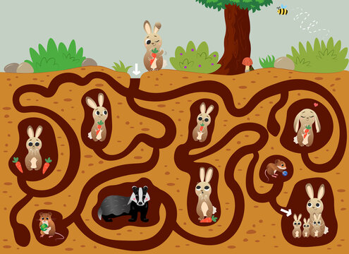 Help the hare find the way to his family in burrow under the ground. Vector color maze or labyrinth game for preschool children. Puzzle. Tangled road. Forest animals for kids