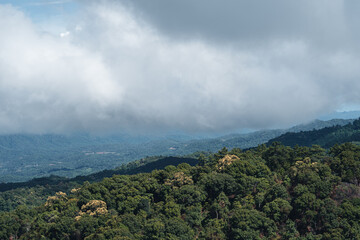 Mountains and green trees during the day