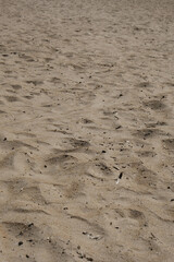 
sand texture on the beach