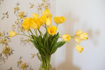 Bouquet of yellow tulips on wooden stool