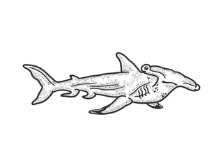 Hammerhead shark sketch raster illustration