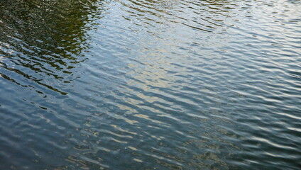 Vaguelettes sur eau de rivière