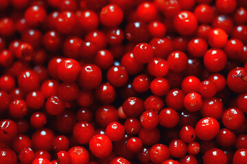 texture cranberries red berries fresh northern vitamins abstract background