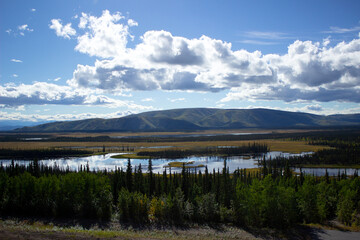 Fototapeta na wymiar アラスカ、夏に水が染み出す湿地帯