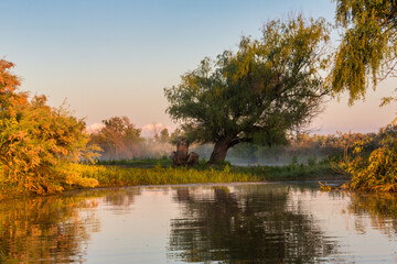Morgenstimmng in Donaudelta