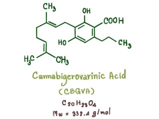 chemical structure of dna