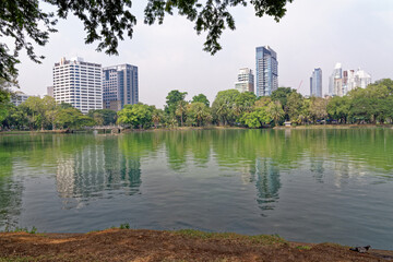 Fototapeta na wymiar Lumphini Park - Bangkok, Thailand