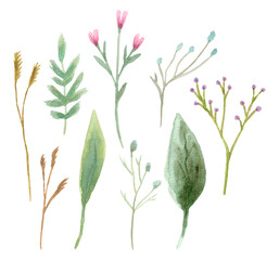 Hand drawn watercolor flowers and leaves.