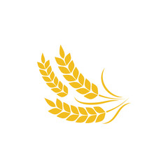 Agriculture wheat Template vector icon design