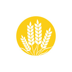 Agriculture wheat Template vector icon design