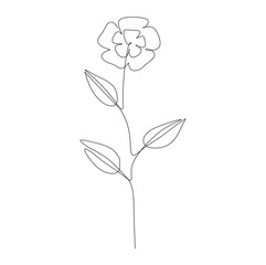 A beautiful flower with leaves. Continuous one line drawing vector illustration
