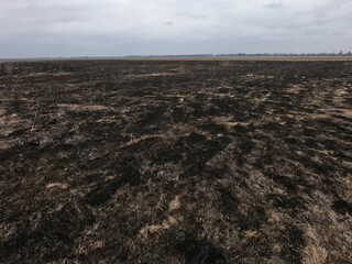 Burnt field. Place of environmental disaster. Moody landscape.