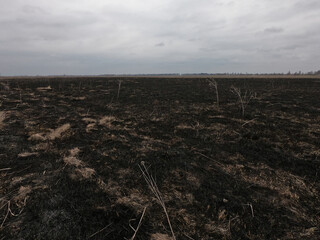 Burnt field. Place of environmental disaster. Moody landscape.
