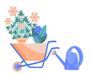 Garden cart with flowers and watering can isolated on white background.  Gardening, decorating, home Hobbies. Vector illustration in flat style.