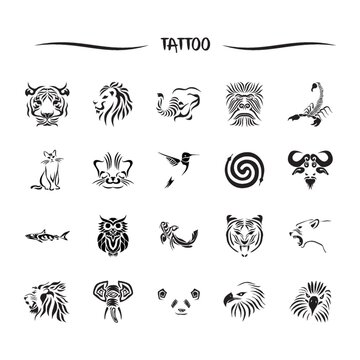 Monkey Tattoo Images – Browse 10,044 Stock Photos, Vectors, and Video |  Adobe Stock