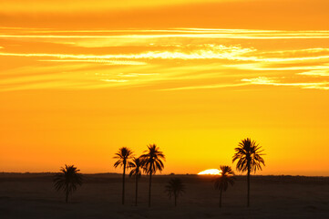 Sunrise in the desert near Douz in Kebili, Tunisia