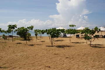 SPIAGGIA