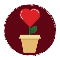 heart plant