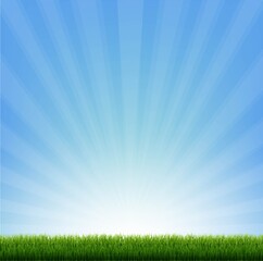 Fototapeta na wymiar Green Grass Border With Blue Sunburst With Gradient Mesh, Vector Illustration