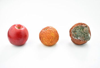 Three apples fresh and spoiled moldy fruit isolated on white background. A ripe apple in the foreground. Stages of fruit rot. Space for text.