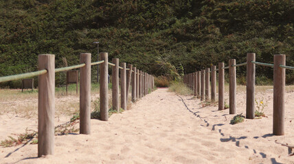 Fototapeta na wymiar Exotic track on a background of nature. A path framed on both sides by identical wooden posts and a rope.