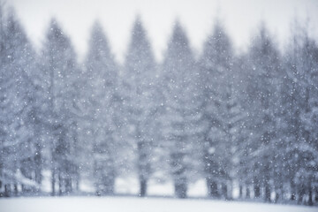 雪