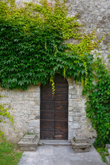 An old wooden door with a creeper within the courtyard of the historic Spilimbergo castle in the province of Udine, Friuli, north west Italy
