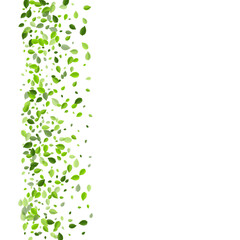 Olive Greens Transparent Vector Concept. Falling 