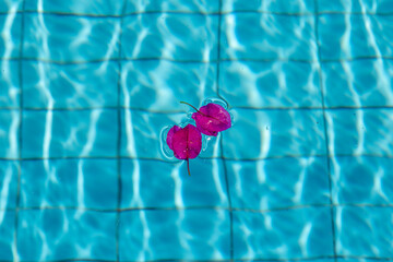 Fototapeta na wymiar Summer swimming pool ripple and petals floting on water surface background, pastel pink and blue color