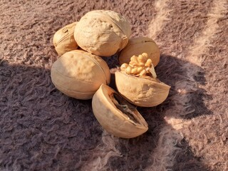 Fresh walnuts placed on fur blanket, garnishing kernels,delicious and well textured. Walnut background and texture.