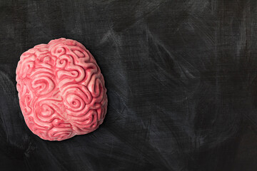 human brain on a blackboard background with copy space