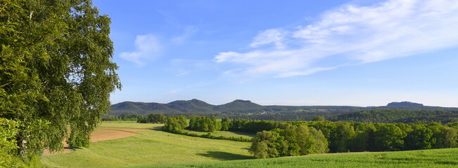 Saftige Felder vor Bergkulisse der Sächsischen Schweiz