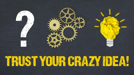 Trust your crazy idea!