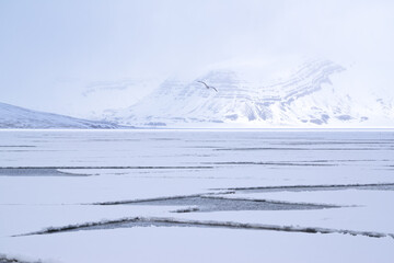 Arctic fjord covered by sea ice with lots of cracks in it. Snow covered mountains behind.