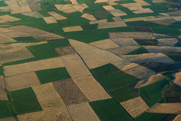 Aerial view on agricultural landscape and fields in the morning sun, Addis Ababa, Ethiopia