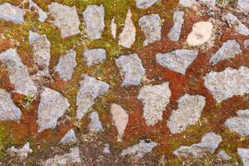 Fragment of pedestrian cobblestone pavement with moss. Stone texture background