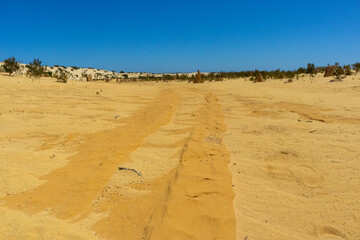 The Pinnacles desert. Car ruts on the sand of the desert. Western Australia WA, Australia, near Perth capital city.